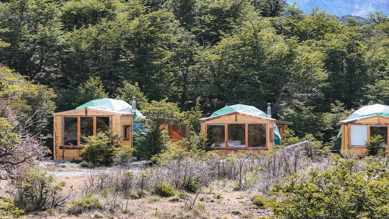 Los domos en fila al borde del bosque